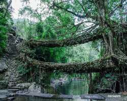 Few of the places one should check out while visit Few of the places one should check out while visiting the place including Double-decker living bridge route, Arwah Cave, Mawsmai Cave, and Ka Khoh Ram